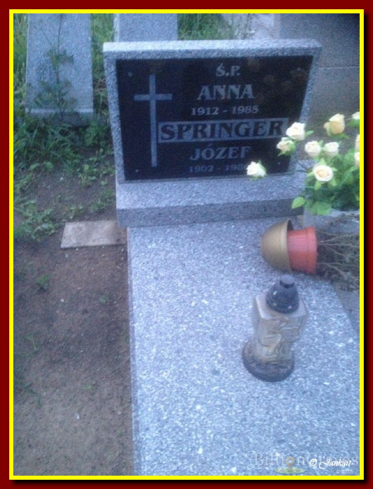 Springer J.A.